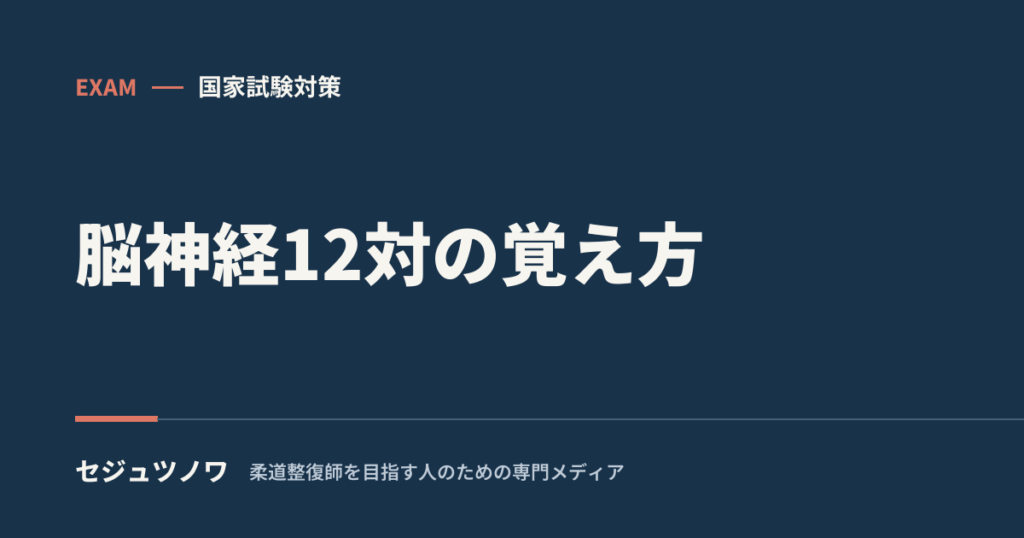 【解剖学】脳神経12対の覚え方｜語呂・分類・副交感までスッキリ整理
