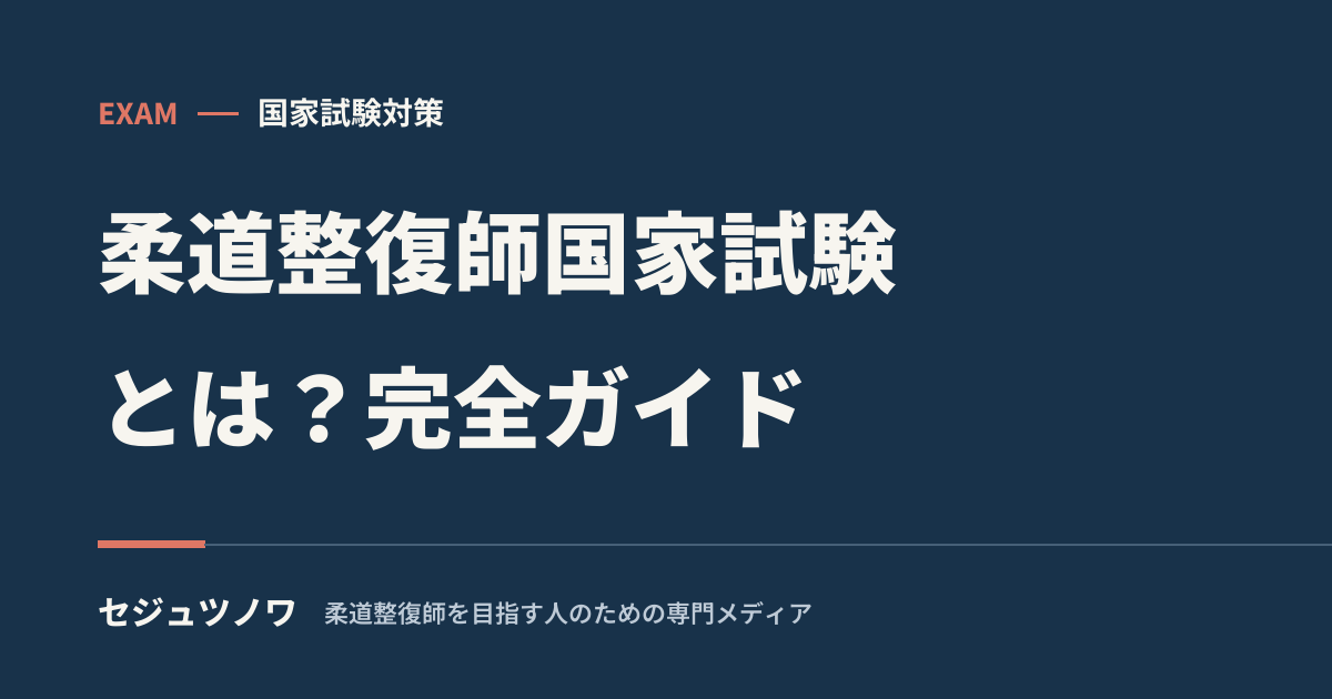 柔道整復師国家試験の全体像をまとめたインフォグラフィック