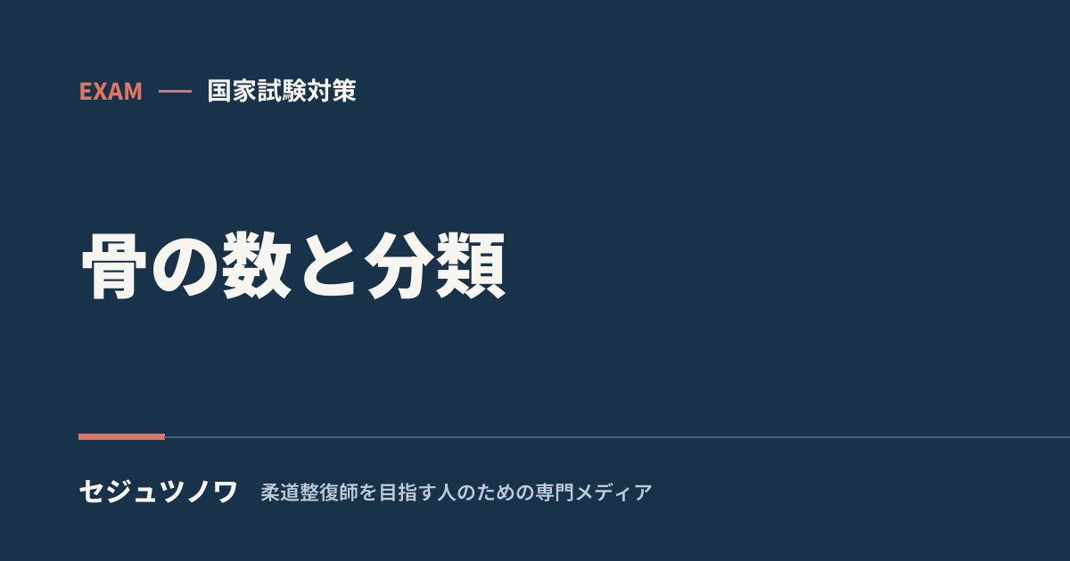 【解剖学】骨の数と分類|体軸・体肢で覚える早見表(脊柱・肋骨・手根骨…)