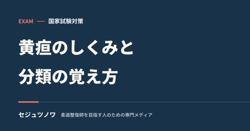 【一般臨床医学】黄疸のしくみと分類の覚え方｜4つの原因を機序で整理