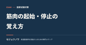 【解剖学】筋肉の起始・停止の覚え方｜丸暗記せず「動き」から導く3つのコツ