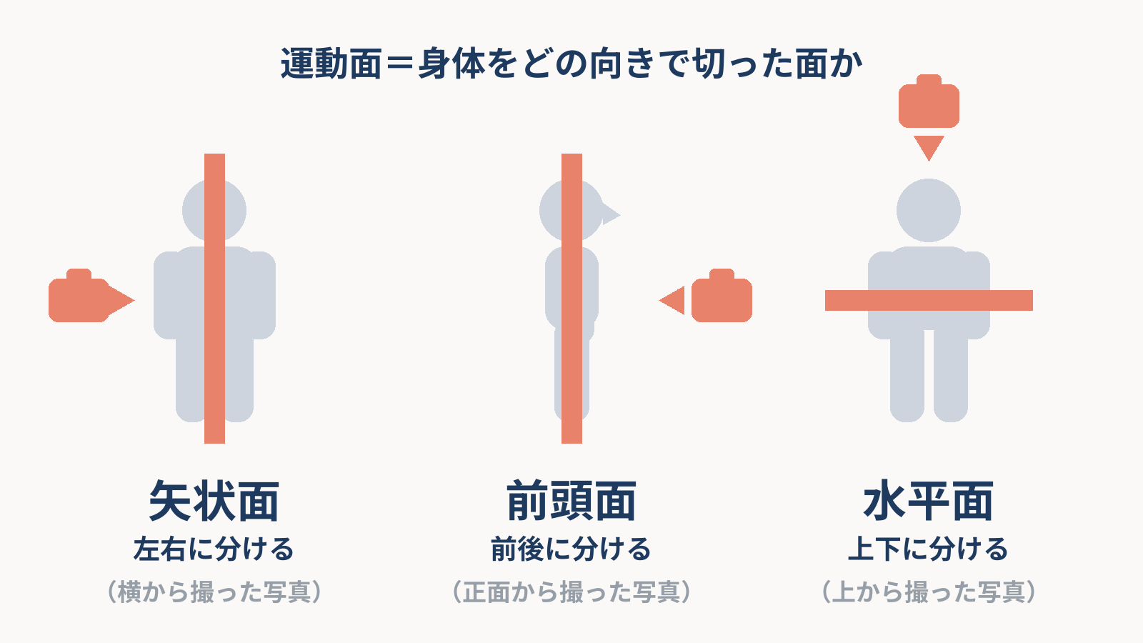 人体の模式図を3つ並べ、身体を切る向きで運動面が決まることを示した図。矢状面は正面向きの身体に縦の帯で左右に分け、前頭面は横向きの身体に縦の帯で前後に分け、水平面は横の帯で上下に分ける。それぞれカメラの位置が横・正面・上にある