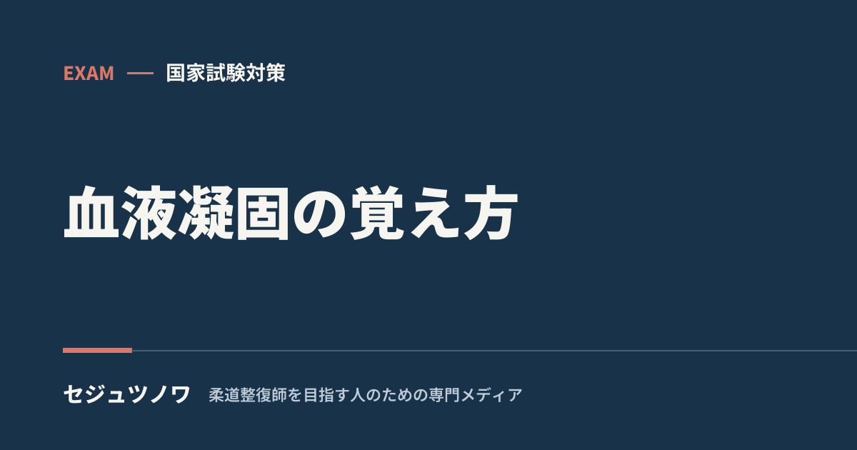【生理学】血液凝固の覚え方|内因系・外因系を流れで理解する(肉納豆)