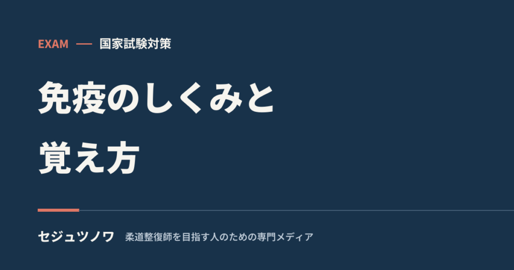 【生理学】免疫のしくみと覚え方｜自然免疫と獲得免疫を流れで整理